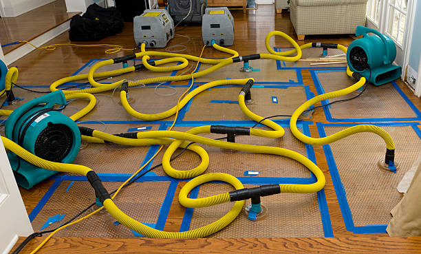 Professional Burst Pipe Water Damage technician working in Foreston, MN